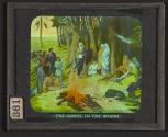 The Gospel in the Woods