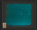 The Star Group Pleiades