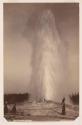 Old Faithful Geyser