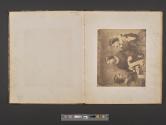 [Three women]