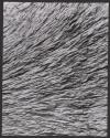 Bone texture, cow jawbone strongly magnified