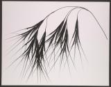 [Grass]