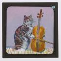 Sweet Jessamy Rasper, the Musician of Cats