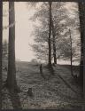 A Boy's June Day - To see what's over the hill