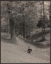 A Boy's June Day - Edge of the Woods