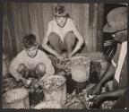 Shrimp Pickers