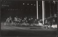 [Harness race]