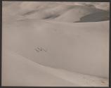 Sand Expanse