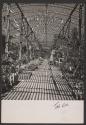 [Woman in latttice greenhouse with plants]