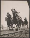 [Horse race]