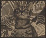 [Striped cat in front of a painted background]