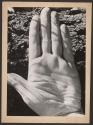 My Hand