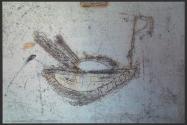War Zone Graffiti, Zhari District, Kandahar Province, Afghanistan