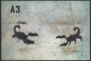 War Zone Graffiti, Zhari District, Kandahar Province, Afghanistan