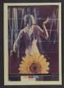 [Copy print of advertisement for Cannon Towels]