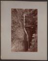 [Waterfall, Shanklin Chine]