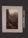 [Shanklin Chine]