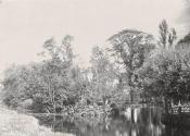 [River landscape]