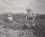 [Furze-cutting on a Suffolk Common]