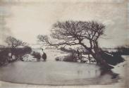 [The Pond in Winter]