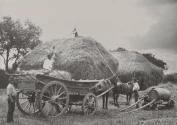 Stacking [Hay]