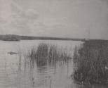 Hegham Sound, Norfolk Broad