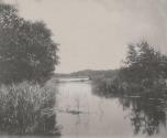 Decoy Broad