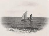 [Sailboat]