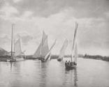 Horning Regatta