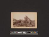 Indian Graves, Fort Wrangel
