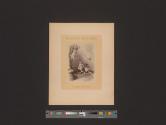 [Child sitting on dog]