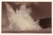 [Geyser in eruption]