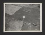 Parachute Jump No. 4
