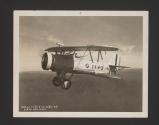 Curtiss Hell Diver