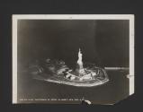 Night Photograph of Statue of Liberty, New York, New York