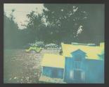 Blue Horse