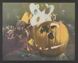Halloween Bug