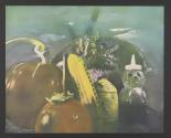 Still life with Corn Harmonica