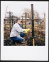 Allotments
