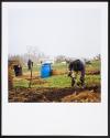 Allotments