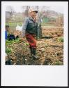 Allotments