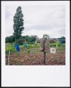 Allotments