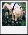 Allotments