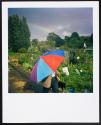 Allotments