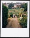 Allotments