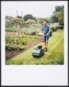 Allotments