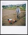 Allotments