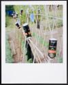 Allotments