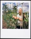 Allotments