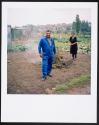 Allotments